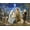 Let Us Adore Him, variant on Springbok 500 Piece Let Us Adore Him! Jigsaw Puzzle for Adults