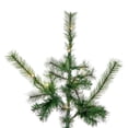 thumbnail image 5 of Vickerman A250683LEDCC 9 ft. x 79 in. Lodge Pole Pine 3 mm 1150CC Christmas Tree, 5 of 11