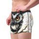 thumbnail image 2 of Balery Whimsical Owl On Branch Calzoncillos bóxer para hombre, ropa interior de algodón suave y transpirable con cinturilla de nailon-Large, 2 of 5