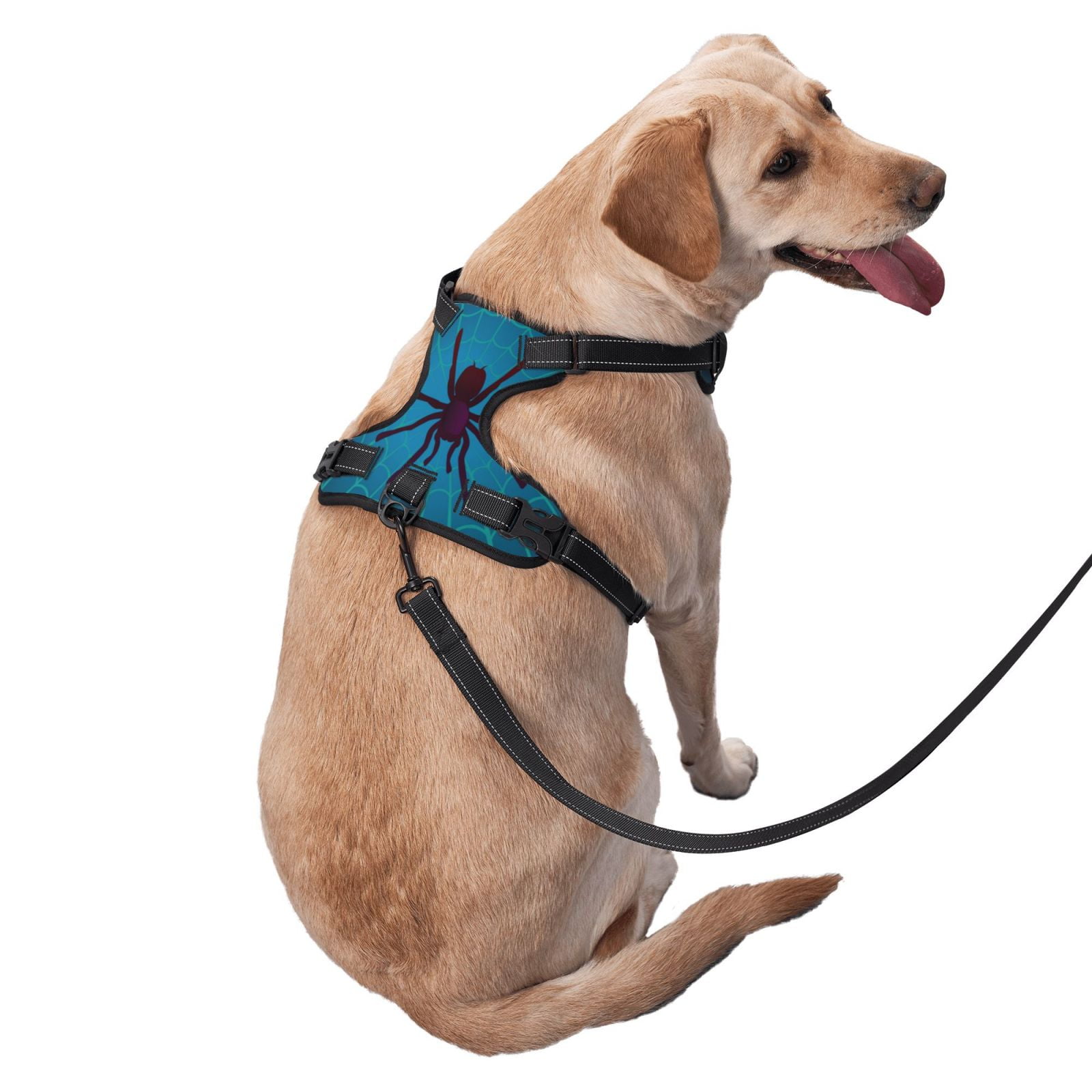 Vsdgher Spider And Cobweb Pattern Dog Harness,No Pull Pet Harness with Soft Padded Handle,Adjustable Reflective Vest with 2 Buckles,4 Slide Buckles,S-XL Small