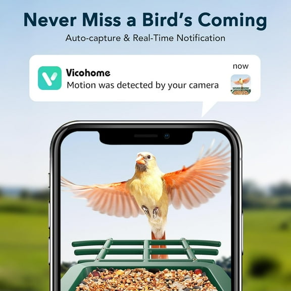 ® Bird Feeder with Camera Solar Powered, AI Identify & Auto Capture, 2K HD Live Video Smart Bird Feeder Camera Notifications in Backyard, Gift for Bird Lovers