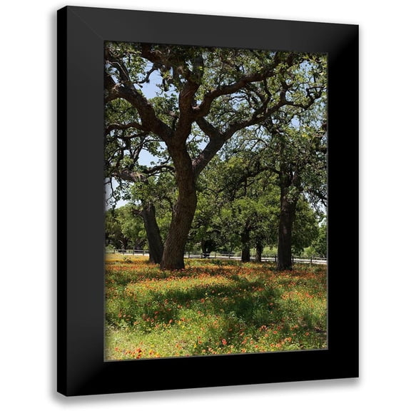 Highmith, Carol 11x14 Black Modern Framed Museum Art Print Titled - Shade trees and wildflowers on the LBJ Ranch, near Stonewall in the Texas Hill Country