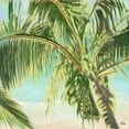 thumbnail image 2 of Pinto, Patricia 15x15 Gold Ornate Wood Framed with Double Matting Museum Art Print Titled - Bright Coconut Palm II, 2 of 4