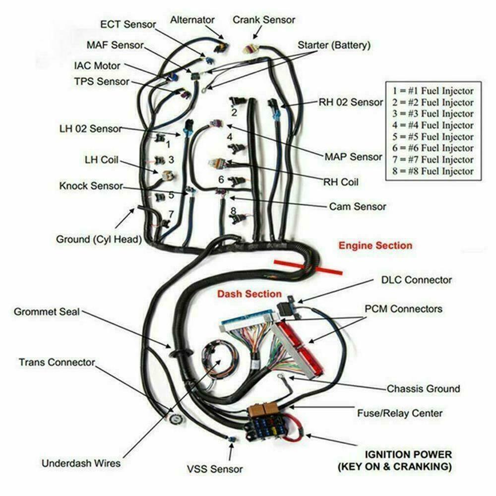 MadDogPerformance Standalone Wiring Harness For 1998-2003 Vortec 4.8/5.3/6.0 W/4L80E - DBC