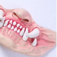 2024-halloween-masks-for-adults-halloween-headgear-lion-s-head-mascara