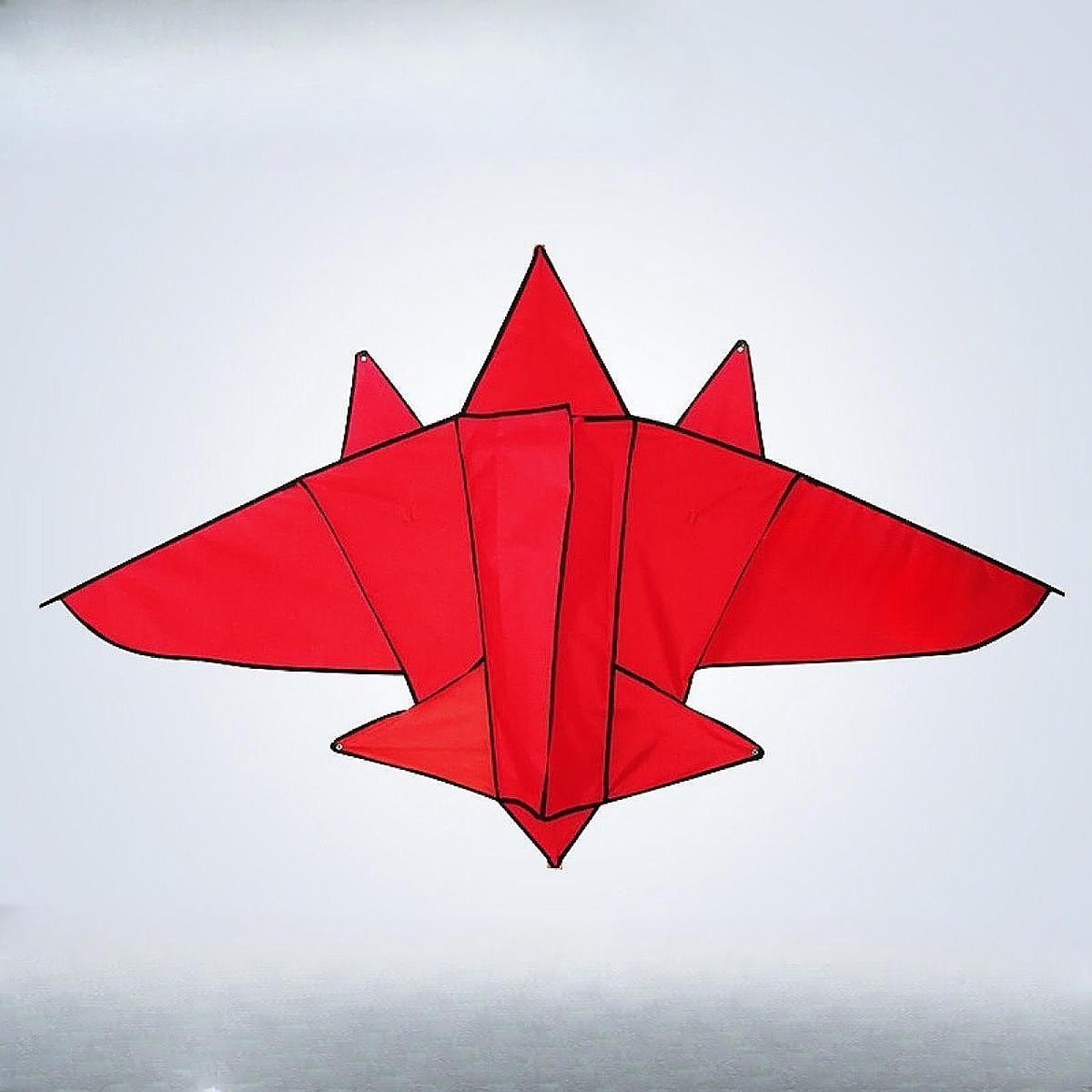 Baoblaze Giant Airplane Shaped Kite Lifelike Sports Toys for Outdoor Games Boys Girls Small