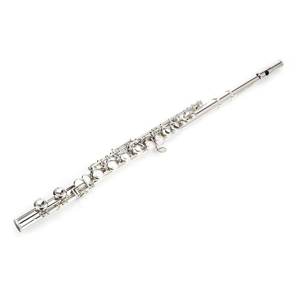 Winado Silver Nickel 16 Hole C Flute with Case for Student