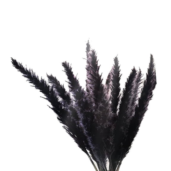 30Pcs Black Pampas Grass, 17 Inch Natural Dried Small Stems