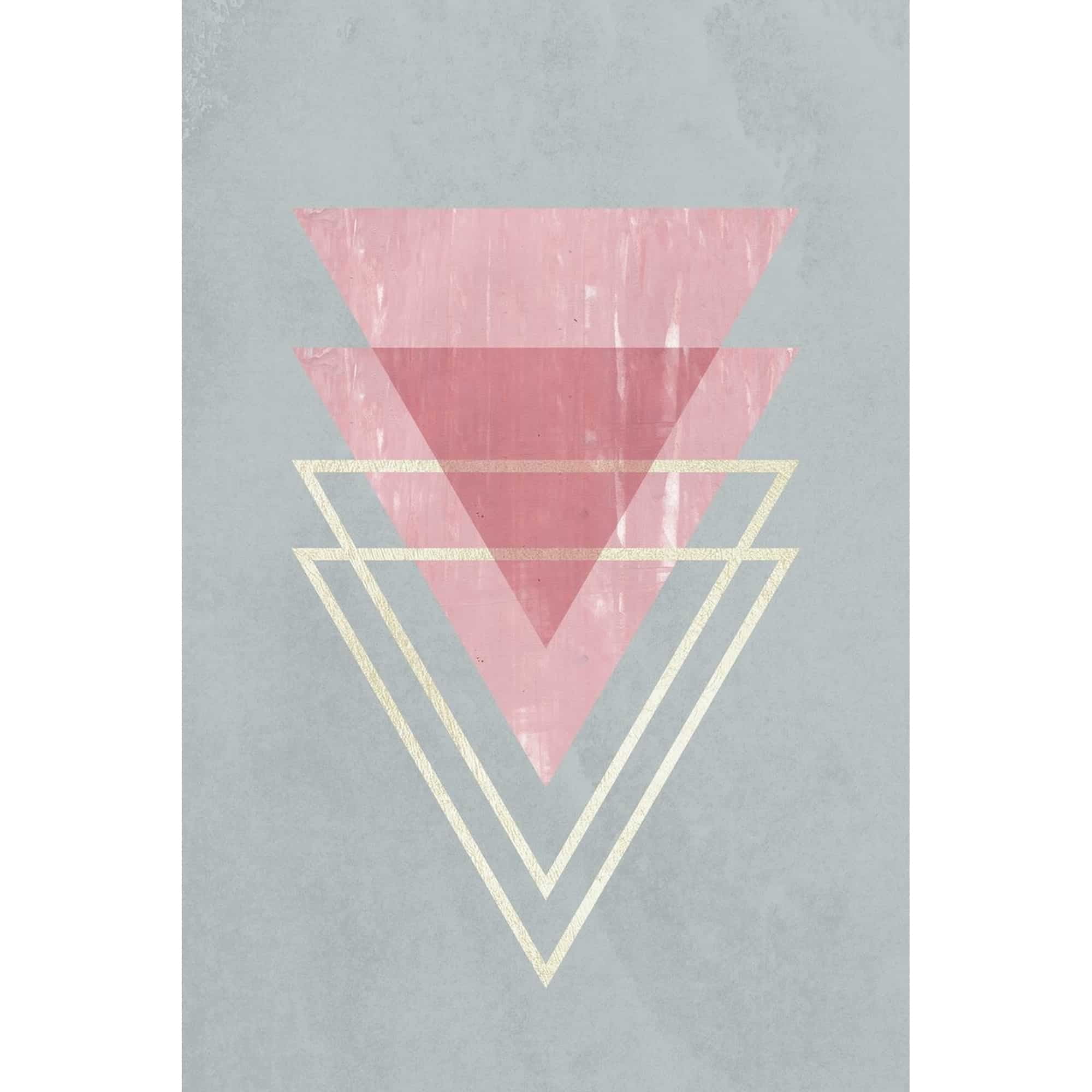 Rose Triangle Floater Framed Painting Print on Canvas