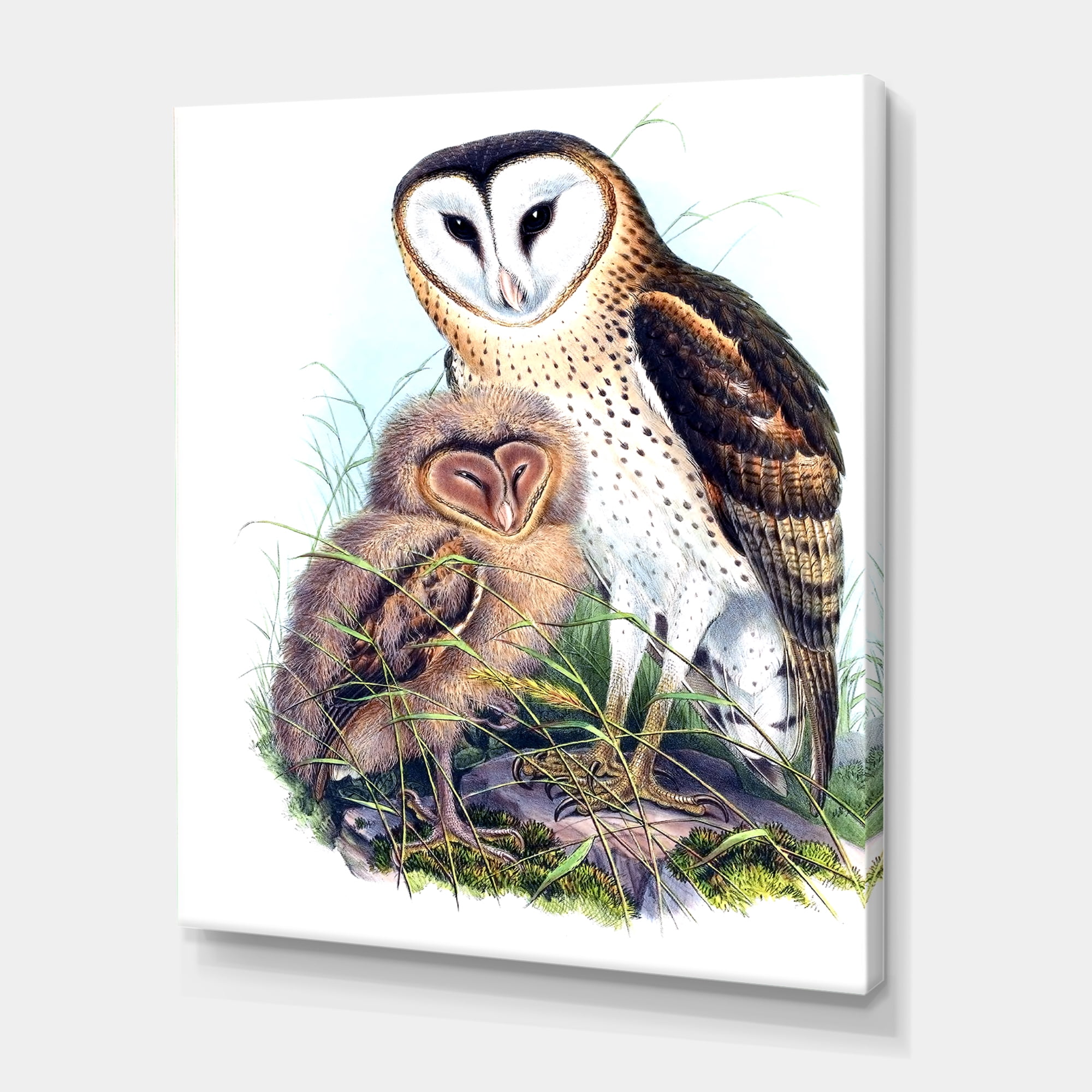 Designart ' Ancient Birds I ' Traditional Canvas Wall Art Print