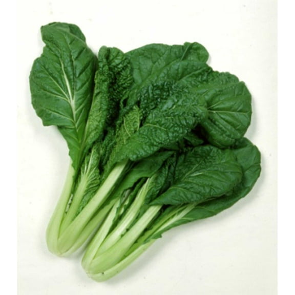 Chinese Cabbage Seeds - Vitaminna - 4 g Packet ~2350 Seeds - Non-GMO, Heirloom - Asian Garden Vegetable & Microgreens