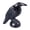 B, variant on AOOOWER Ravens Figurines Resin Ravens Statues Animal Sculptures Crow Figurines Ornament for Bookshelf, Bedroom,Living Room