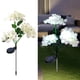 thumbnail image 1 of Nueva linterna solar de hortensia macrophylla, flor simulada, para jardín doméstico., 1 of 3