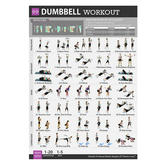 Gnwei Dumbbell Workout Chart Exercise Poster, Workout Charts for Home Gym, Free Weight Body Building Guide ,Living Room, Wall Decoration, Bedroom, Art Deco, 20x30inches