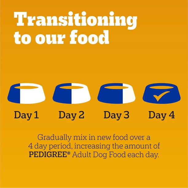 When to Move to Adult Dog Food: Essential Timing Tips Revealed