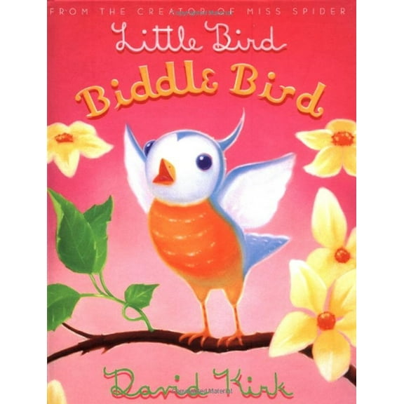 Pre-Owned Little Bird, Biddle Bird (Biddle Books) (Hardcover) 0439260922 9780439260923