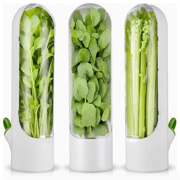 3 piezas de conservantes de hierbas para refrigerador, conservantes frescos para refrigerador, almacenamiento de hierbas, cilantro, perejil, espárragos