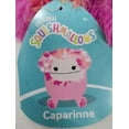 thumbnail image 3 of Original Kellytoys Squishmallows 8" Plush Toy - Choose Your Style, 3 of 6