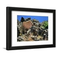 thumbnail image 1 of She Who Watches, Tsagaglalal Petroglyph, Washington, USA Framed Print Wall Art by Jaynes Gallery Sold by Art.Com, 1 of 5