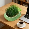 thumbnail image 3 of Tauxra Pineapple Shaped Hydroponic Nursery Tray Soils Free Countertop Decoration For Easy Sprouting, 3 of 6