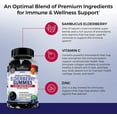 thumbnail image 6 of BioSchwartz Advanced Formula Elderberry Gummies with Vitamin C and Zinc, Immune Support, 60 Count, 6 of 8