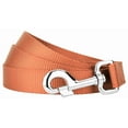 thumbnail image 3 of Country Brook Petz® 1 inch Nylon Dog Leash - Coral, 6 Foot, 3 of 5