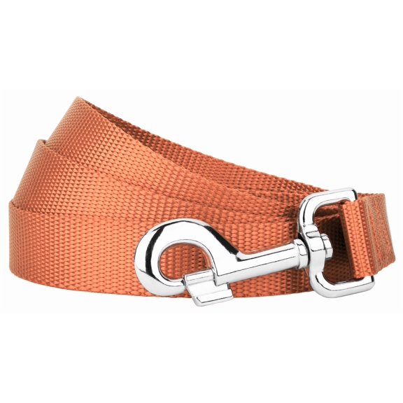 Country Brook Design® 5/8 inch Nylon Dog Leash - Coral, 6 Foot