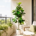 thumbnail image 3 of ROMSWI Artificial Fiddle Leaf Fig Tree 6FT Tall with White Planter, Natural Trunk Realistic Leaves Lifelike Faux Floor Plant For Home House Office Decor Indoor, 3 of 9