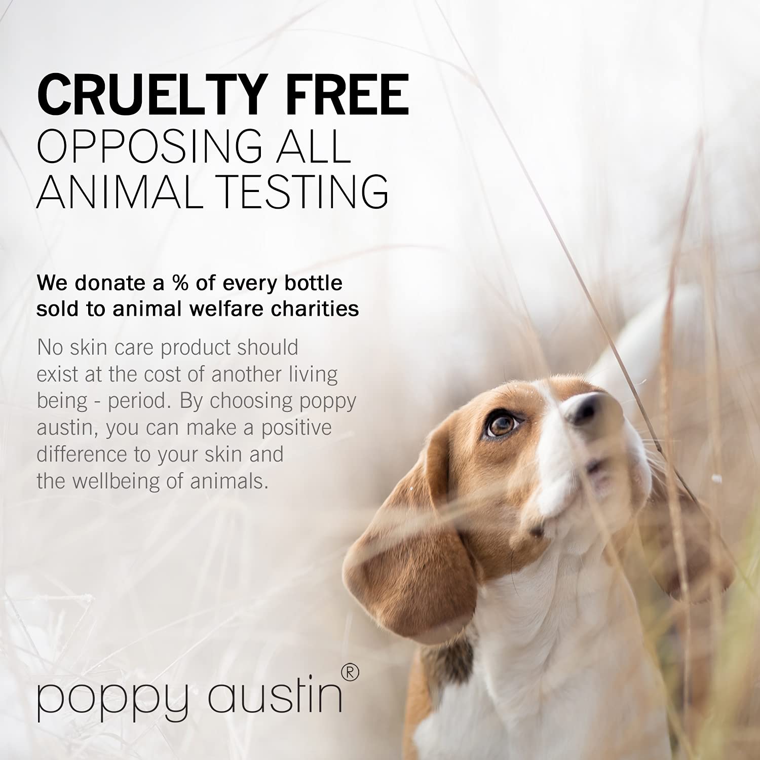 Beauty Suppliers – Online Shopping