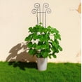 thumbnail image 2 of Hosley Hosley Home Décor Collection 16 in x 48 in Black Iron Wave Shape Trellises 2 Count, 2 of 7