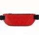 thumbnail image 1 of Riñonera impermeable Riñonera deportiva Riñonera para correr Riñonera impermeable con 2 bolsillos grandes Llevar todos los teléfonos Riñonera deportiva de tamaño ajustable ANGGREK  Otros, 1 of 1
