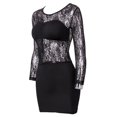 thumbnail image 4 of Été Décontracté Dentelle à Manches Longues Midi Robe Dames Bodycon Col Rond Robe, 4 of 4