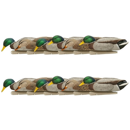 Avian X Topflight Backwater Mallards Decoys Realistic Floating 12 Pack