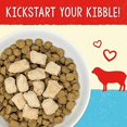 thumbnail image 2 of Freeze Dried Raw Dandy Lamb Meal Mixer High Protein Dry Dog Food Topper 18 oz., 2 of 2