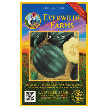 Everwilde Farms - 40 Table Queen Acorn Winter Squash Seeds - Gold Vault Jumbo Bulk Seed (Best Way To Store Acorn Squash)