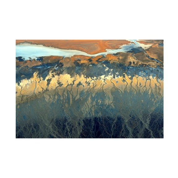 Tanja Ghirardini 'California Aerial' Canvas Art