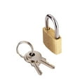 thumbnail image 5 of 1X Lock 3 Keys, 20Mm Small Copper Lock Luggage Bag Padlock Mailbox Chassis Lock Small Lock Luggage Case Padlock Box Case Lock Lock Lovers Lock Luggage Padlock 20Mm, Plertrvy (Diamond Gold01211), 5 of 6