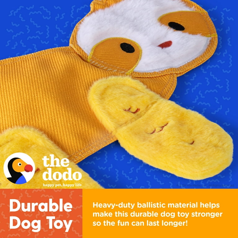 Best 5 Dog Toys For Separation Anxiety - DodoWell - The Dodo