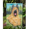 thumbnail image 3 of Carolines Treasures SS8035GF Briard Flag Garden Size, 3 of 3