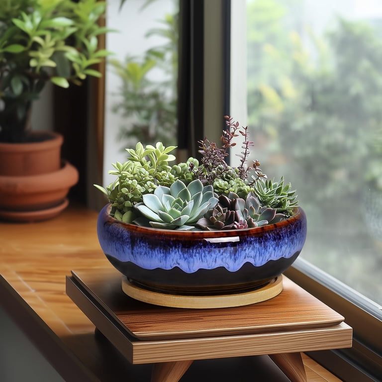 7 Inch Round Ceramic Succulent Planter with Bamboo Tray photo 6