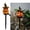 C, variant on Halloween Wizard Pumpkins Lamp Decorations, 7 Inch Battery Operated Decorative Twinkle Lights,for Indoor, Outdoor, Porch, Yard, Holiday Decor (A)