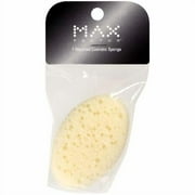 100 Natural Sea Sponge 5 6 by Spa Destinations Creating The In Home Spa Experience For the Perfect Bath or Shower Experience