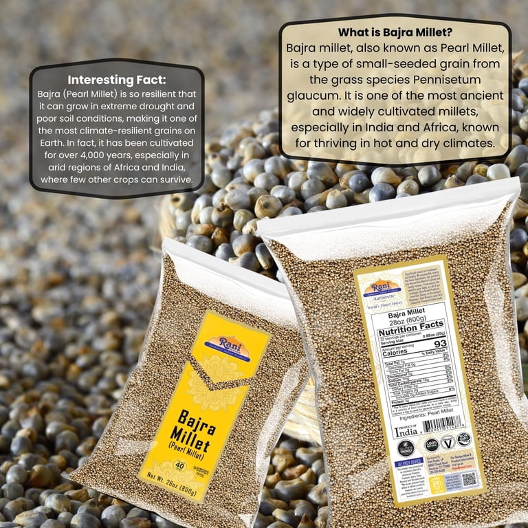 Rani Bajri Millet (Pearl Millet) 28oz (1.75lbs) 800g ~ All Natural