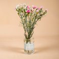 thumbnail image 5 of Uxcell Spiral Flower Stem Holder, Spiral Stem Holder S&L Spiral Ikebana Stem Holder for DIY, Clear 4 Pcs, 5 of 6