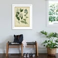 thumbnail image 3 of Art.com Cottage Florals I Art Print by Sydenham Teast Edwards, White Frame Wall Art, 32" x 40", 3 of 5
