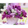 thumbnail image 1 of EverShine Diamond Mosaic Lilac Cross Stitch Diamond Painting Full Square Flowers Picture Rhinestone Bead Embroidery Handmade ArtRound Drill 80x60cm Gao Jinjia LED, 1 of 2