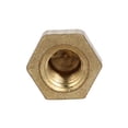 thumbnail image 3 of Unique Bargains 5pcs M10 Female Thread Nut DIN1587 Dome Cap Head Hex Brass Tone, 3 of 3