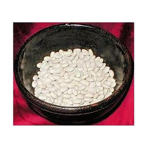 Bean Navy Great Heirloom Garden Vegetable By Seed Kingdom BULK 1 Lb Seeds