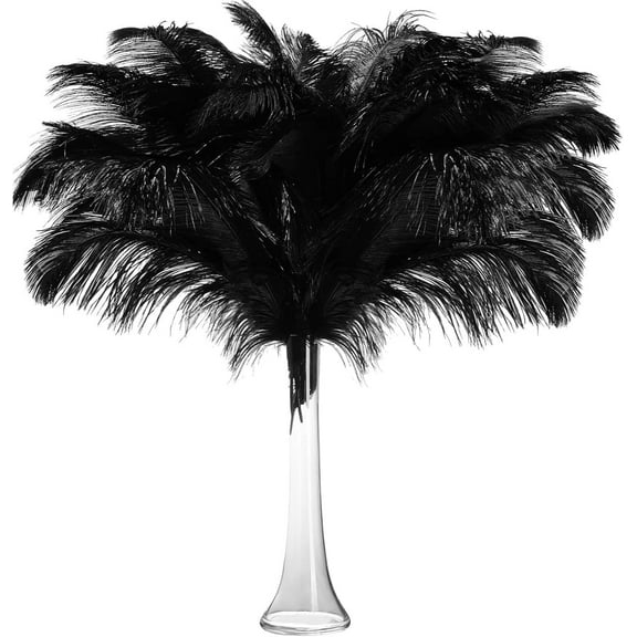 QZS Pack of 20 Black Ostrich Feathers,8-10In Resable Natural Ostrich Arrangement for Home Decoration,Party Wedding Centerpieces