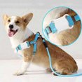 thumbnail image 2 of Hearth & Gear Mini Tracking Device Dog Pet Finder Locator Alarm Key Lost Alarm Accessories for Grooming Accessories Dog Trailer Dog Pannier Rear Accessories For Dog Sports Dog Accessories for Puppies, 2 of 6